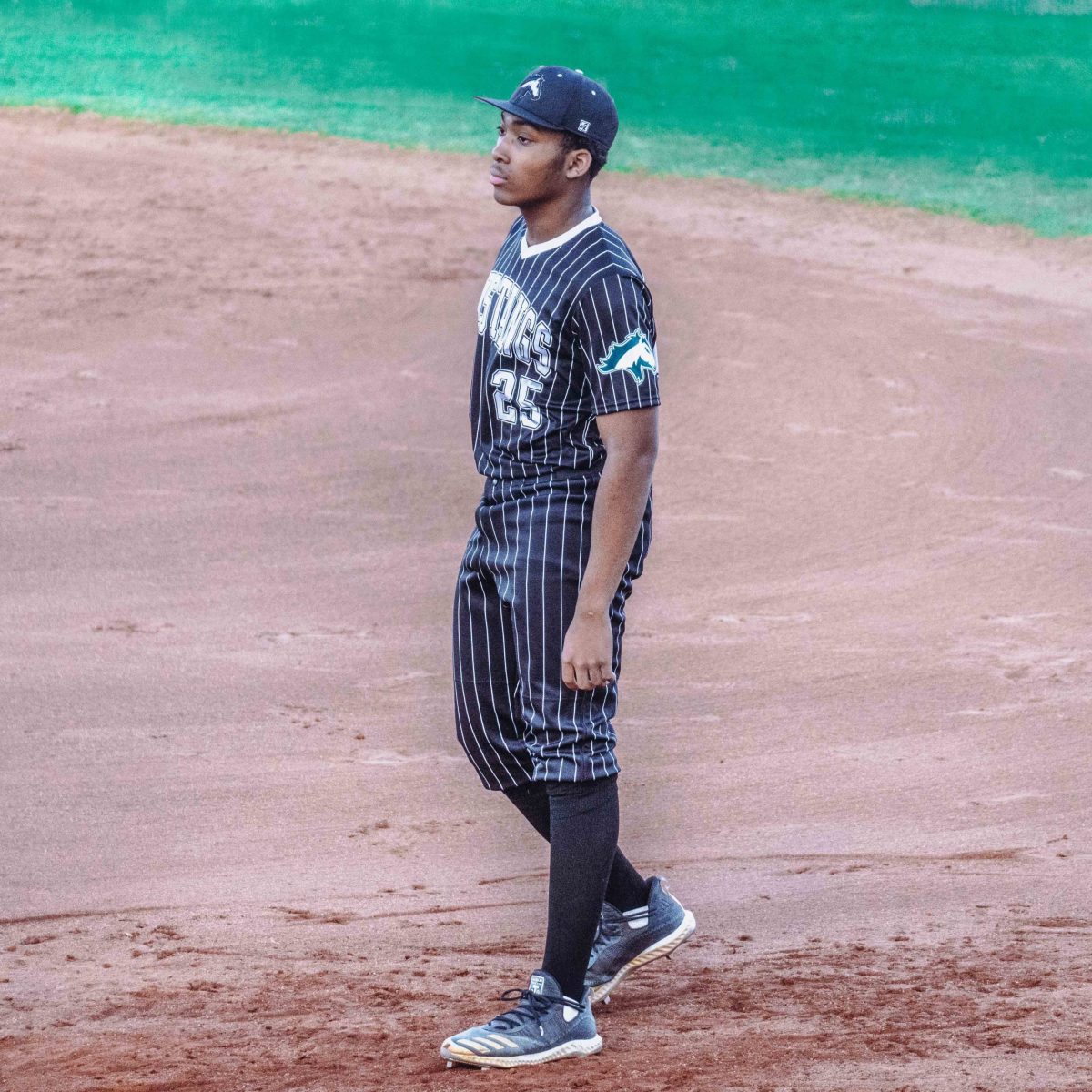 Willie_Prince_Kennesaw_Mountain_baseball.98